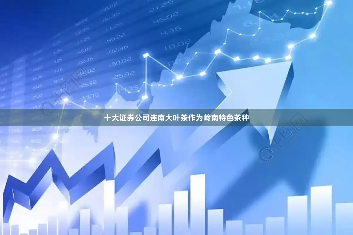 十大证券公司连南大叶茶作为岭南特色茶种