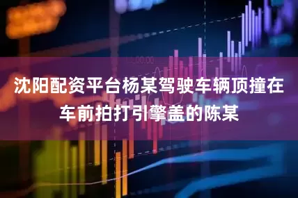 沈阳配资平台杨某驾驶车辆顶撞在车前拍打引擎盖的陈某