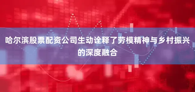 哈尔滨股票配资公司生动诠释了劳模精神与乡村振兴的深度融合