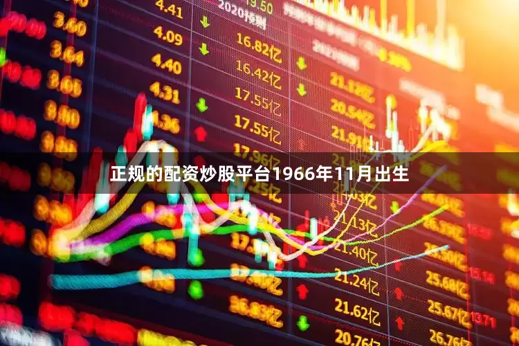正规的配资炒股平台1966年11月出生