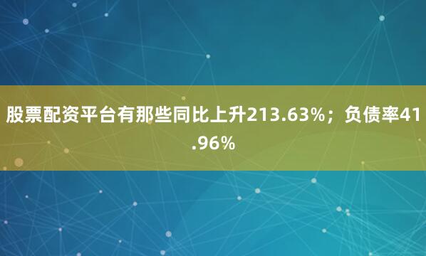 股票配资平台有那些同比上升213.63%；负债率41.96%