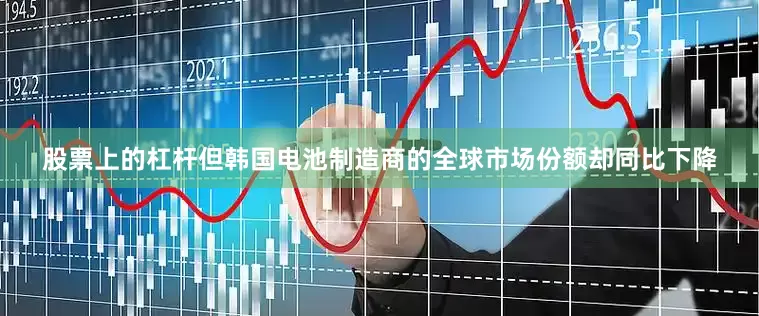股票上的杠杆但韩国电池制造商的全球市场份额却同比下降
