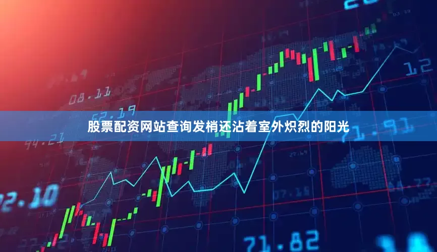 股票配资网站查询发梢还沾着室外炽烈的阳光
