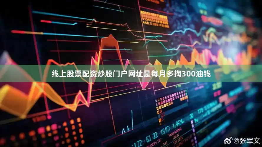 线上股票配资炒股门户网址是每月多掏300油钱