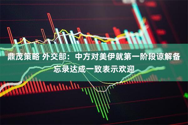 鼎茂策略 外交部：中方对美伊就第一阶段谅解备忘录达成一致表示欢迎