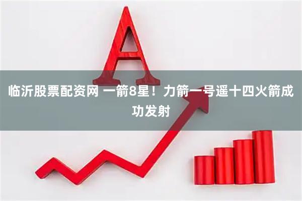 临沂股票配资网 一箭8星！力箭一号遥十四火箭成功发射